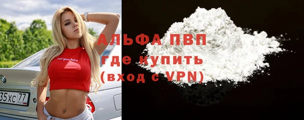 гашик Краснослободск