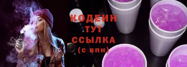 гашик Краснослободск
