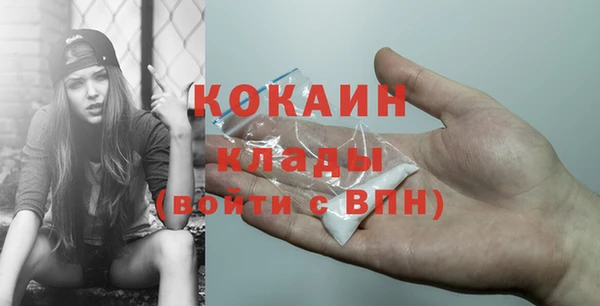 гашик Краснослободск