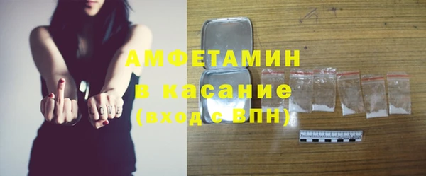 гашик Краснослободск
