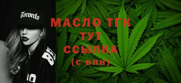 гашик Краснослободск