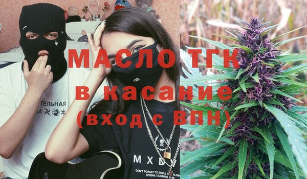 гашик Краснослободск